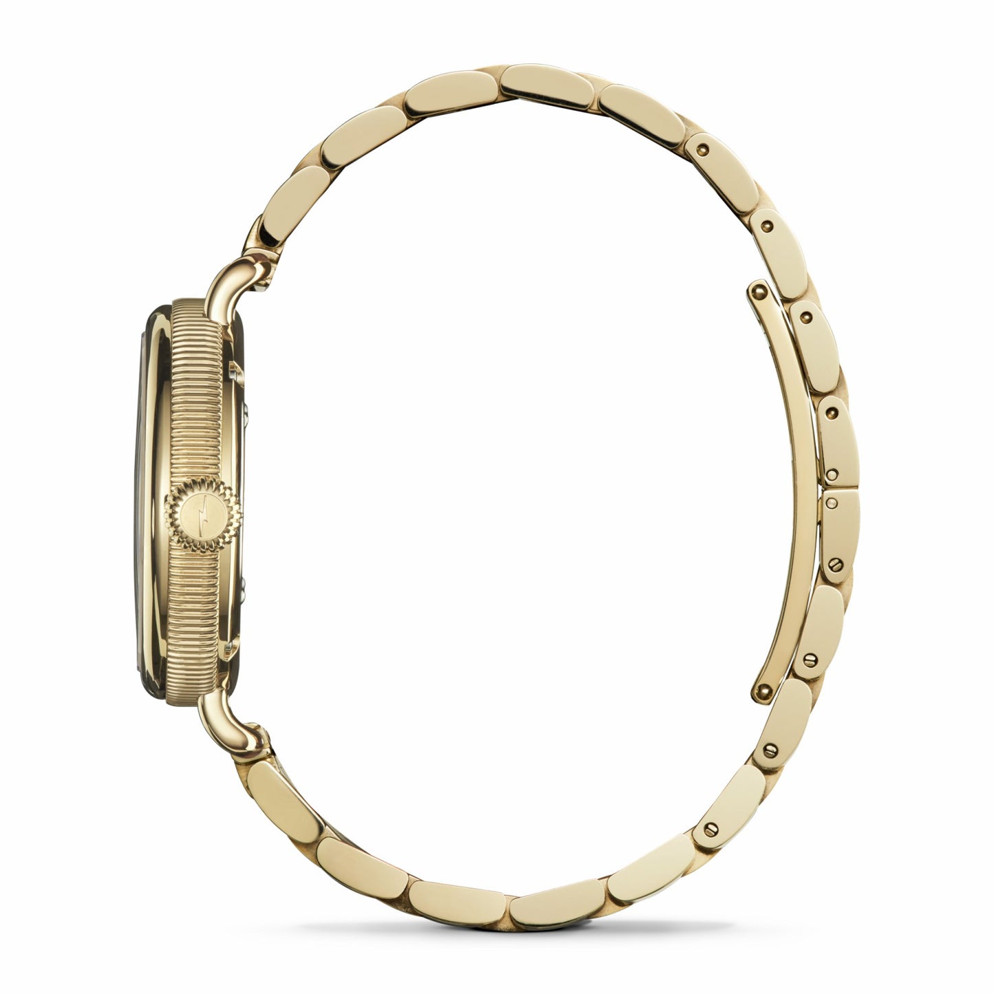 Shinola Birdy Watch | Shinola