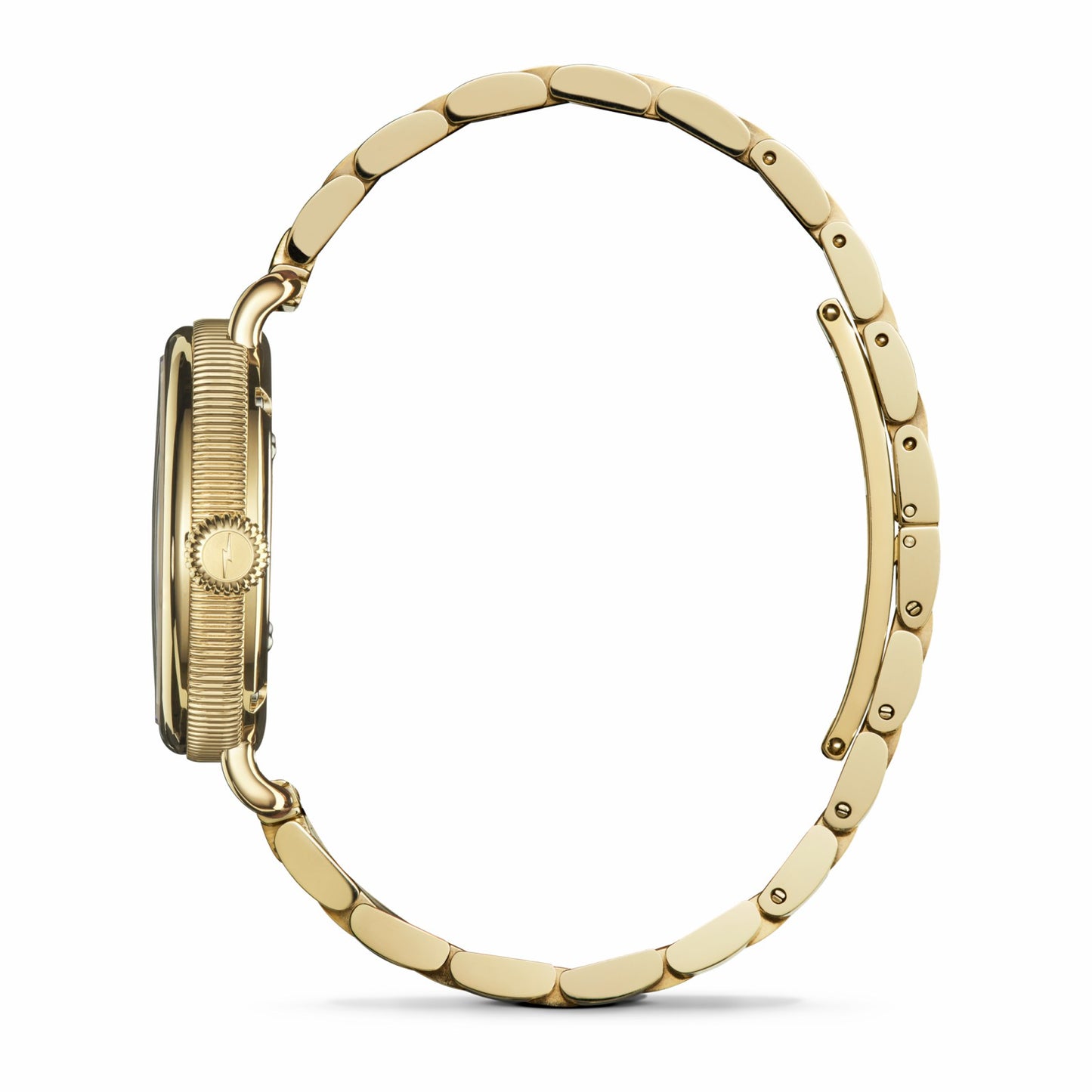 Shinola Birdy Watch | Shinola