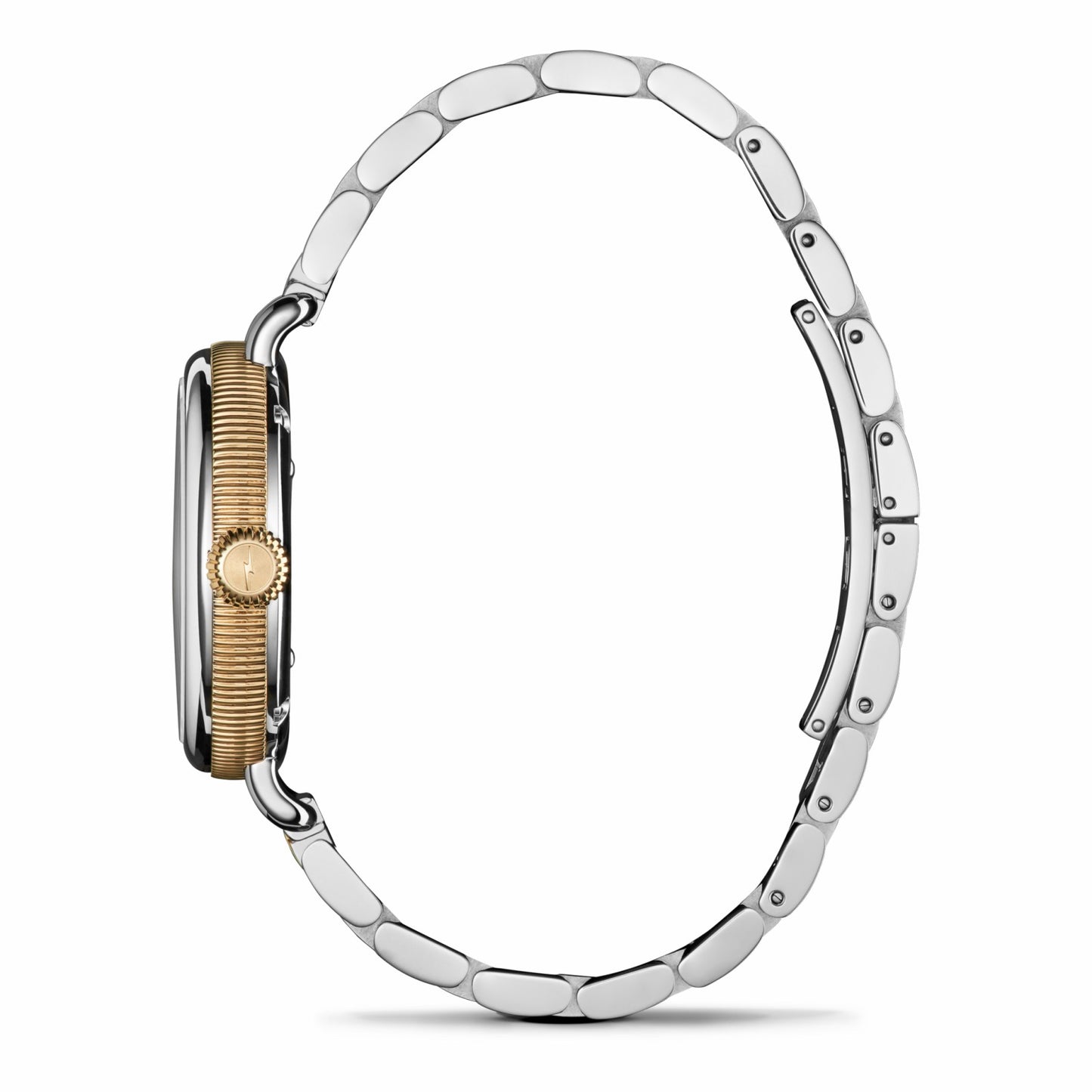 Shinola Birdy Petoskey Watch | Shinola
