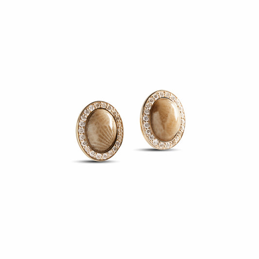Shinola Diamond Pave Book Petoskey Studs | Shinola