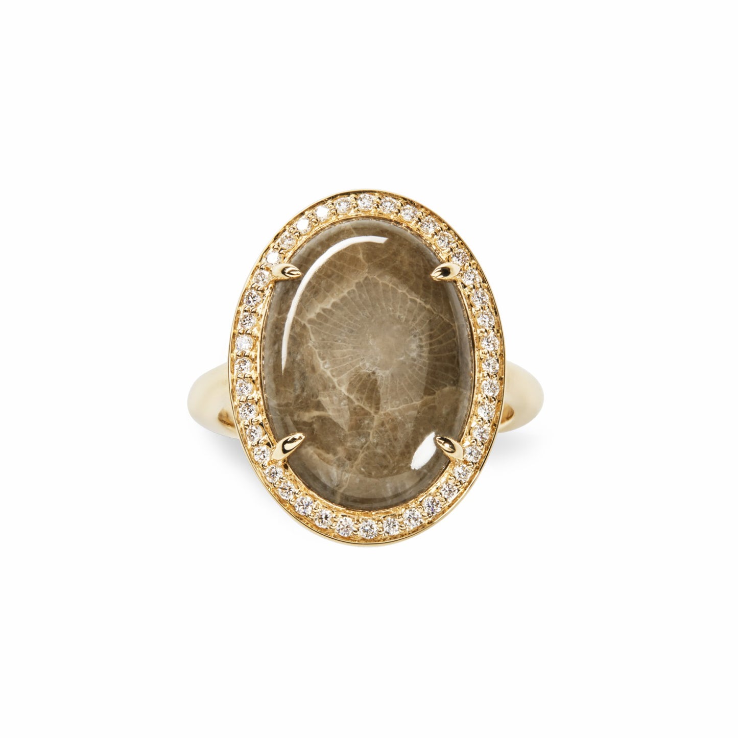 Shinola Diamond Pave Oval Petoskey Ring | Shinola