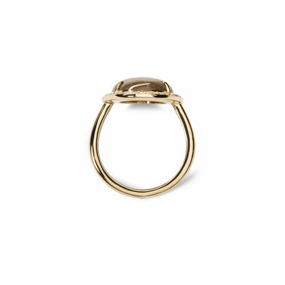 Shinola Diamond Pave Oval Petoskey Ring | Shinola