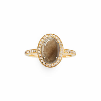 Shinola Diamond Pave Petoskey Oval Ring | Shinola